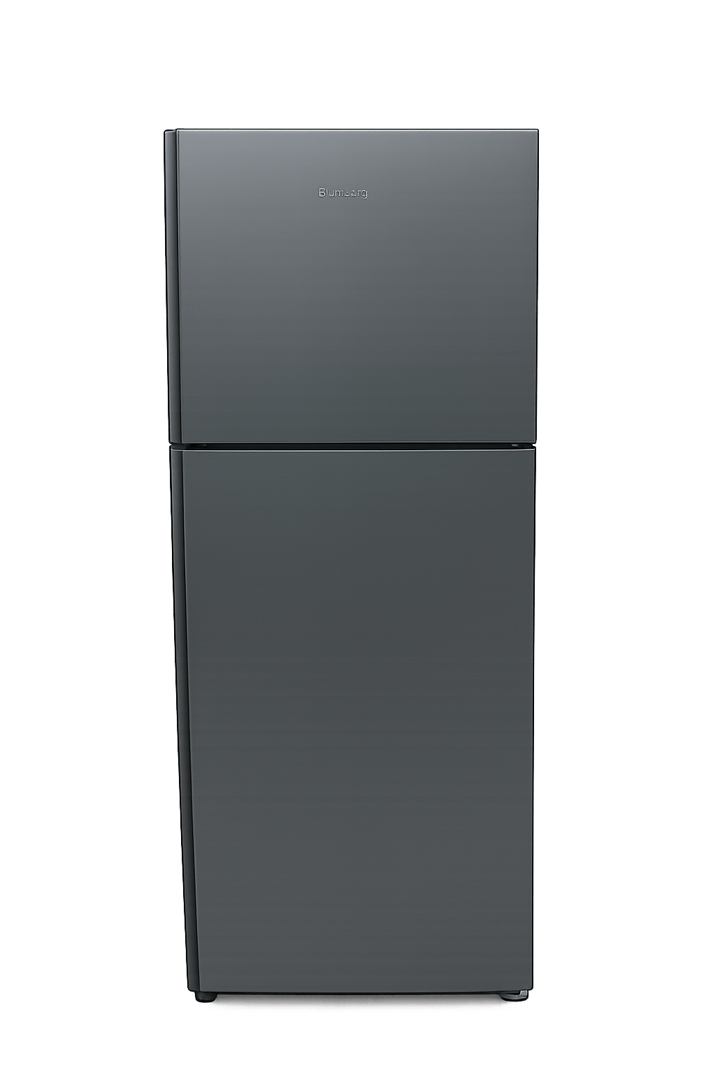 Two-door refrigerator 310L No Frost inox, energy class A+, front view